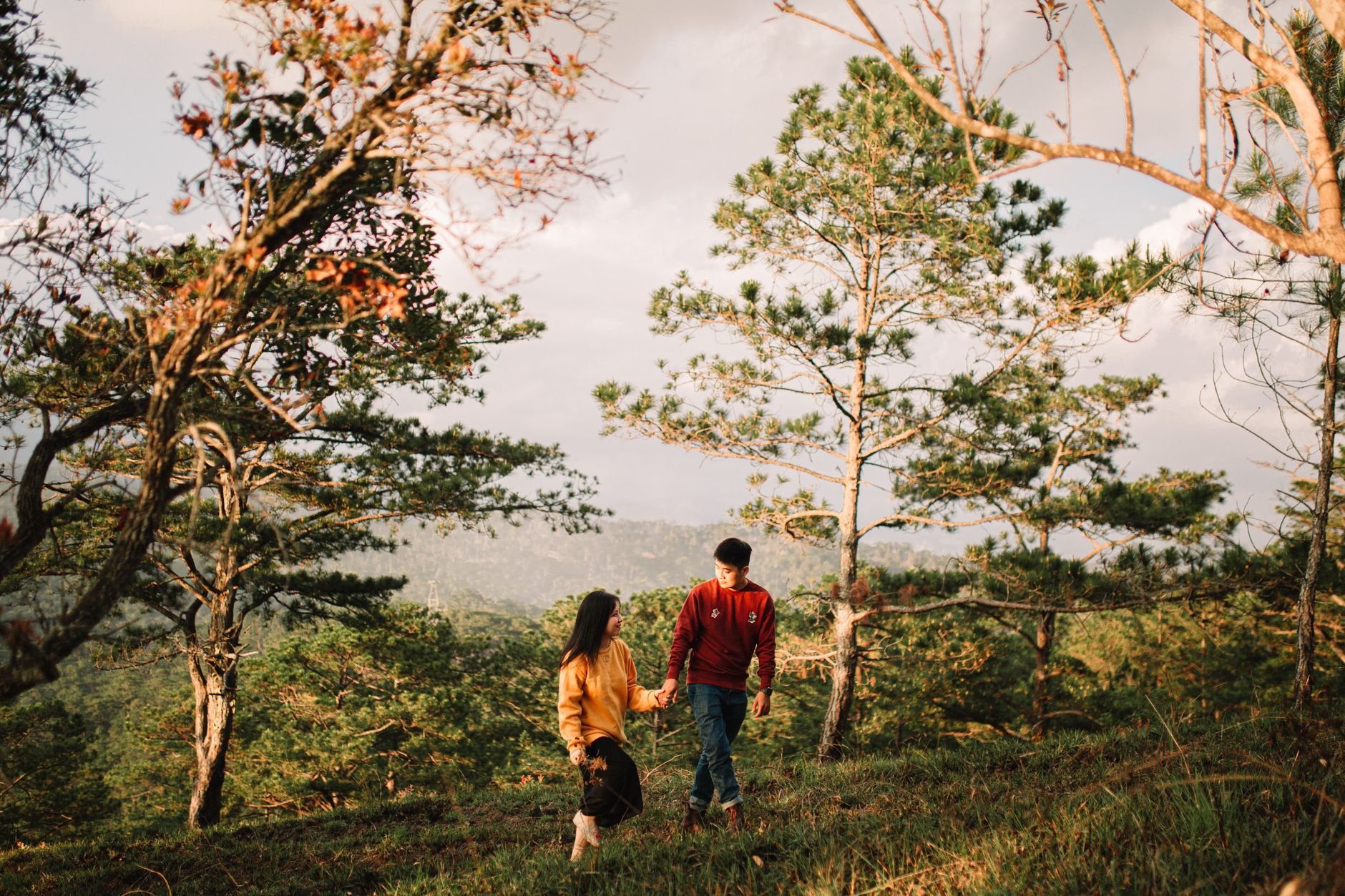 Young couple walking hand in hand through a lush pine forest during the golden hour.
